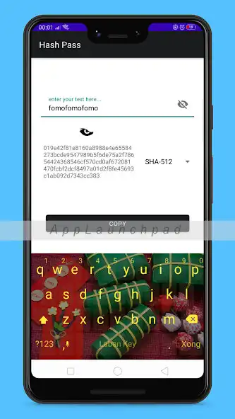 Play Hashpass