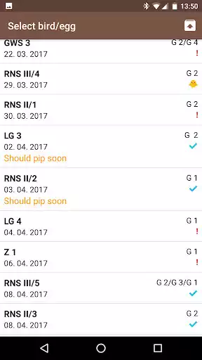 Play Hatch - Bird Breeding as an online game Hatch - Bird Breeding with UptoPlay