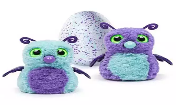 Play Hatchimal Eggs Customer Review