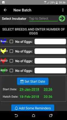 Play Hatch Master