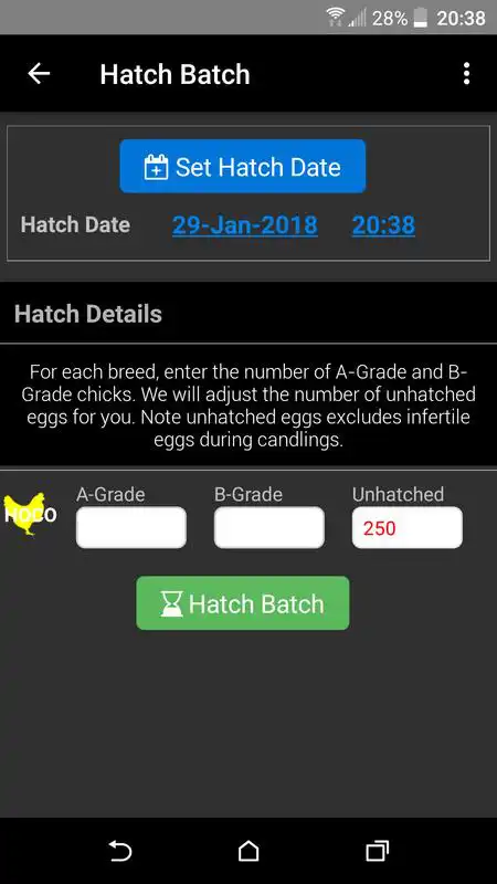 Play Hatch Master