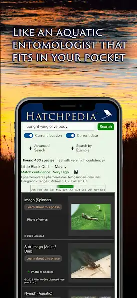 Play Hatchpedia and enjoy Hatchpedia with UptoPlay Play Hatchpedia and enjoy Hatchpedia with UptoPlay
