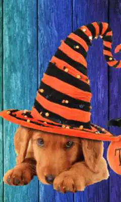 Play Hats Photo Montage