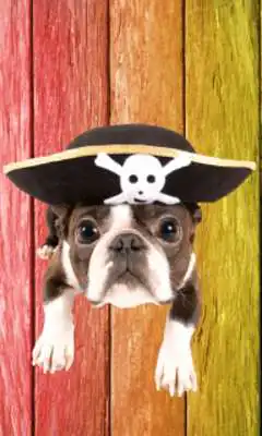 Play Hats Photo Montage