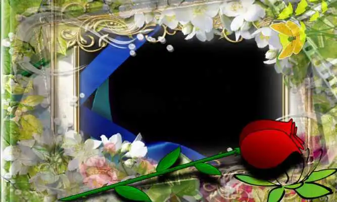 Play haulers Photo flower Frames