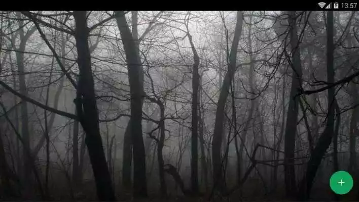 Play Haunted Forest Wallpaper