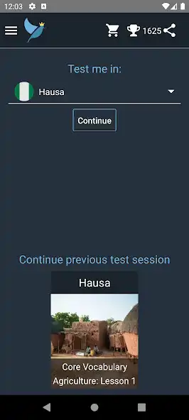 Play Hausa Language Tests  and enjoy Hausa Language Tests with UptoPlay