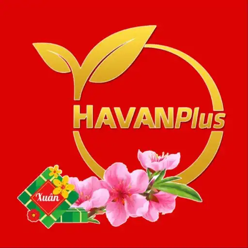 Play HavanPlus APK Play HavanPlus APK