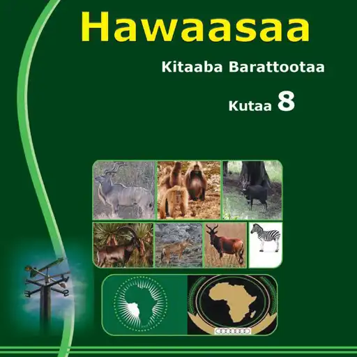 Play Hawaasa Kutaa 8ffaa APK