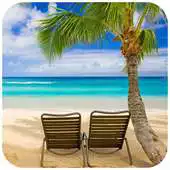 Free play online Hawaii Beach Wedding - Best Hawaii Beach Weddings APK