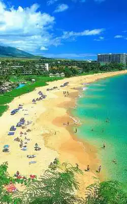 Play Hawaii Beach Wedding - Best Hawaii Beach Weddings