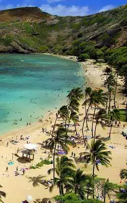 Play Hawaii Beach Wedding - Best Hawaii Beach Weddings