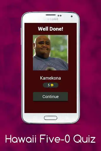 Play Hawaii Five-0 Quiz