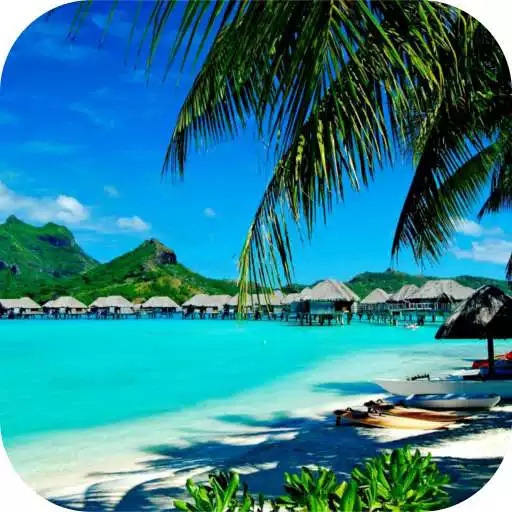 Play Hawaii Local News APK Play Hawaii Local News APK