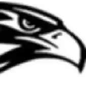 Free play online Hawk Mobile APK