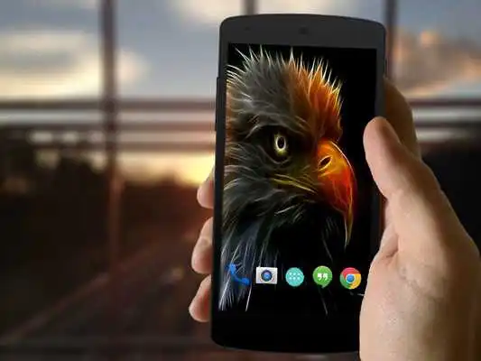 Play Hawk Wallpapers HD