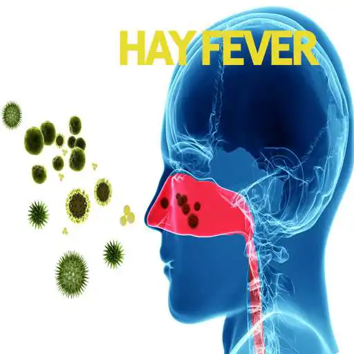 Play Hay Fever Allergy APK