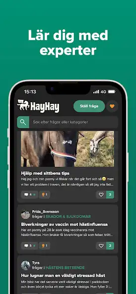 Play HayHay as an online game HayHay with UptoPlay