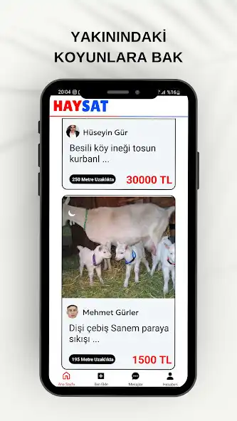 Play HAYSAT - Hayvan Al Sat  and enjoy HAYSAT - Hayvan Al Sat with UptoPlay