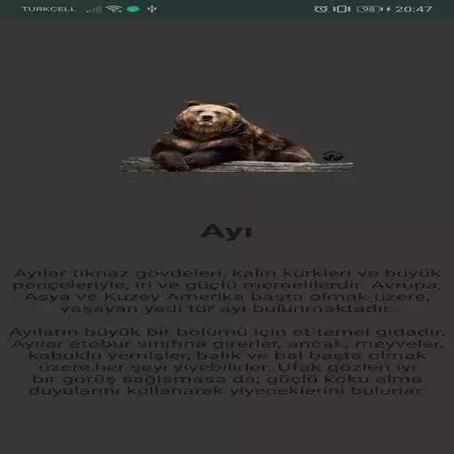 Play Hayvanlar Alemi as an online game online Hayvanlar Alemi with UptoPlay Play Hayvanlar Alemi as an online game Hayvanlar Alemi with UptoPlay