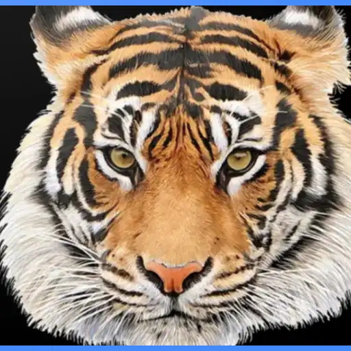 Play HD Animal Wallpapers (offline) APK