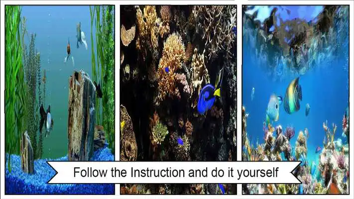 Play HD Aquarium  Wallpaper 3D