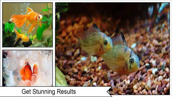 Play HD Aquarium  Wallpaper 3D