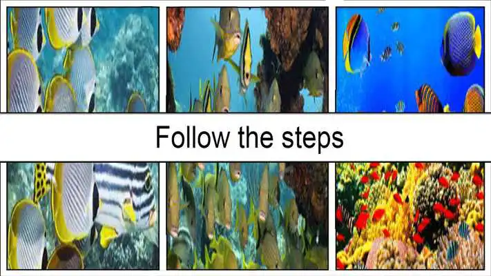 Play HD Aquarium  Wallpaper 3D