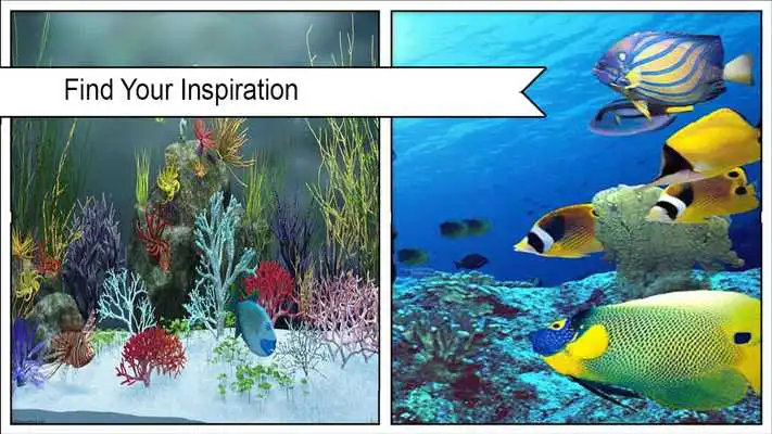 Play HD Aquarium  Wallpaper 3D