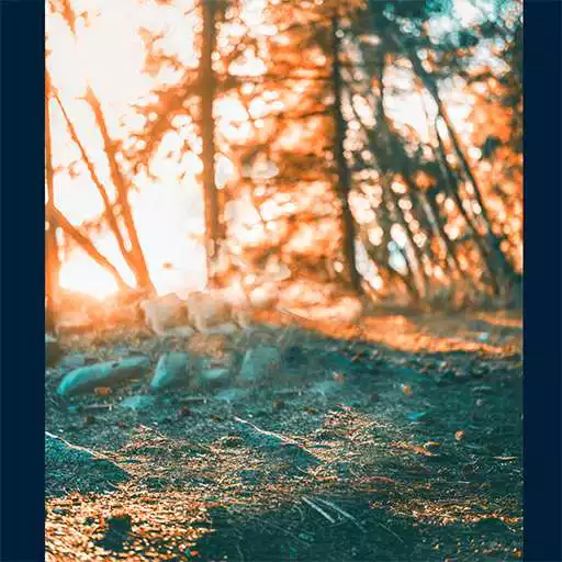 Play HD Background Photo Editing APK