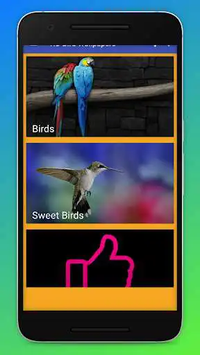 Play HD Bird Wallpapers