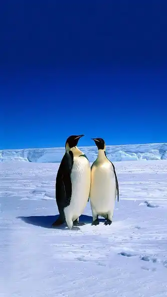 Play HD Blue Sky Wallpaper  and enjoy HD Blue Sky Wallpaper with UptoPlay