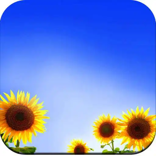 Play HD Blue Wallpapers APK