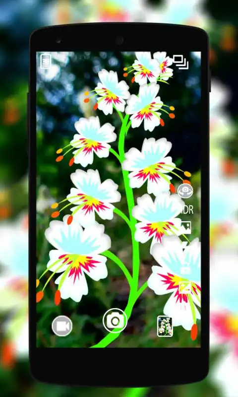 Play HD Camera DSLR