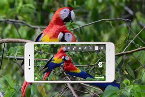 Play hd camera for nikon
