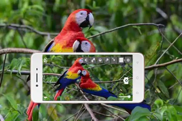 Play hd camera for nikon