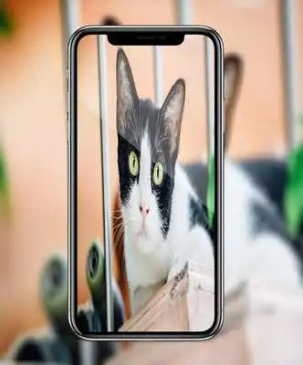 Play HD Camera Pro - Hd Photo For iphone X