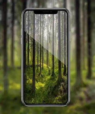 Play HD Camera Pro - Hd Photo For iphone X