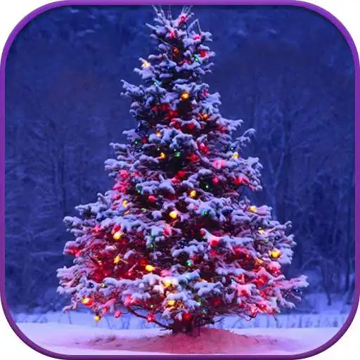 Free play online HD Christmas Live Wallpaper APK Free play online HD Christmas Live Wallpaper APK