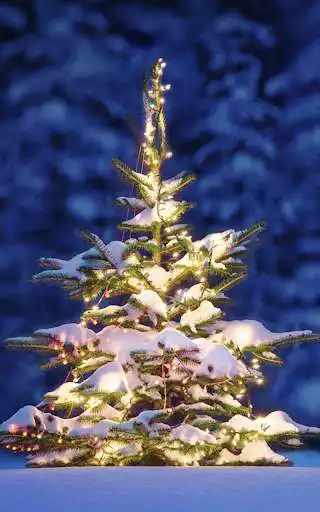 Play HD Christmas Live Wallpaper