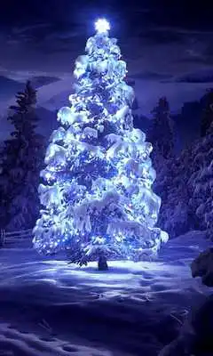 Play HD Christmas Live Wallpaper