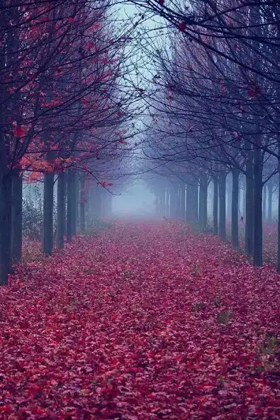 Play HD Cool Wallpaper 4K  and enjoy HD Cool Wallpaper 4K with UptoPlay