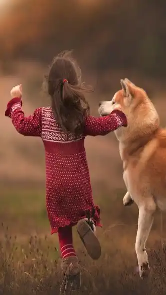 Play HD Dog Wallpaper  and enjoy HD Dog Wallpaper with UptoPlay