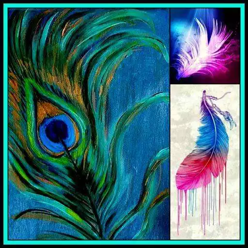 Free play online HD Feather Wallpaper Peacock Backgrounds Gallery APK Free play online HD Feather Wallpaper Peacock Backgrounds Gallery APK