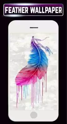 Play HD Feather Wallpaper Peacock Backgrounds Gallery