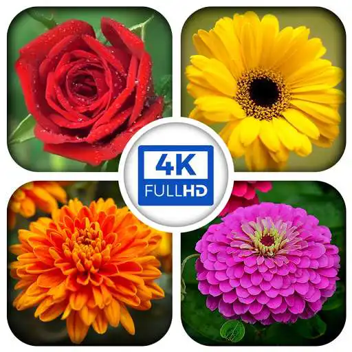 Free play online HD Flower Wallpaper APK Free play online HD Flower Wallpaper APK