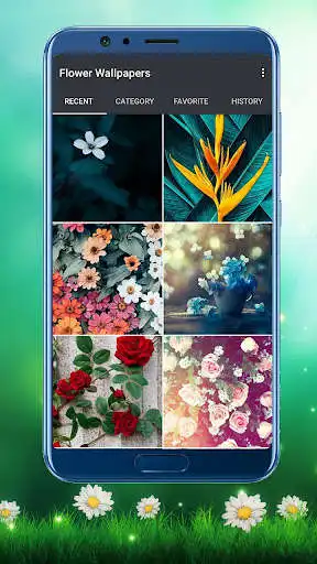 Play HD Flower Wallpaper