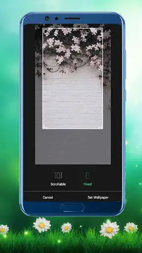 Play HD Flower Wallpaper