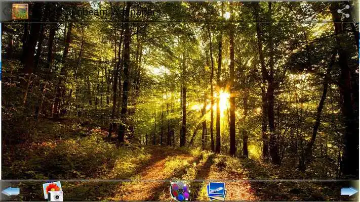 Play HD HQ Sunbeam Wallpapers