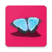 Free play online Hd Images Free APK